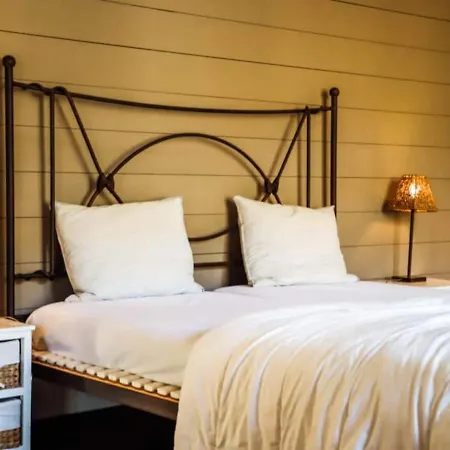 Modern In With Sauna