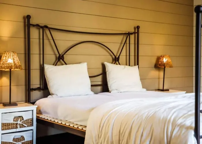 Modern In With Sauna